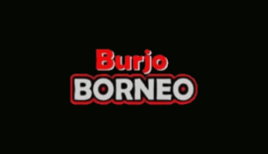 Logo Perusahaan Borneo Group Indonesia - Lowongan Kerja Manager Outlet – SPV Keuangan – SPV Operasional – Waiter & Bar – Kasir – Cook – Asisten Cook