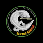 Logo Reptile Garage - Lowongan Keeper Reptil (Gecko) Logo Perusahaan Reptile Garage - Lowongan Keeper Reptil (Gecko)