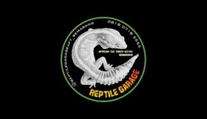Logo Reptile Garage - Lowongan Kerja Keeper Reptil (Gecko) Logo Perusahaan Reptile Garage - Lowongan Kerja Keeper Reptil (Gecko)