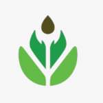 Logo Perusahaan CV. Orimoza Cortex