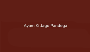 Logo Perusahaan Ayam Kijago Pandega - Lowongan Kerja Juru Masak