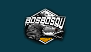 Logo Perusahaan CV. Bosindo Makmur Jaya (Bos Bos Qu Store) - Lowongan Kerja Video Affiliator