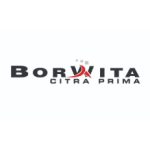 Logo Perusahaan Borwita Citra Prima