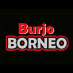 Logo Perusahaan Borneo Group Indonesia - Lowongan Manager Human Capital – Manager Keuangan – Manager/Supervisor Outlet – Crew (Cook, Waiters, Kasir)